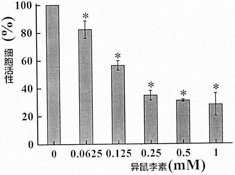 亚洲十大信誉网赌网址排名