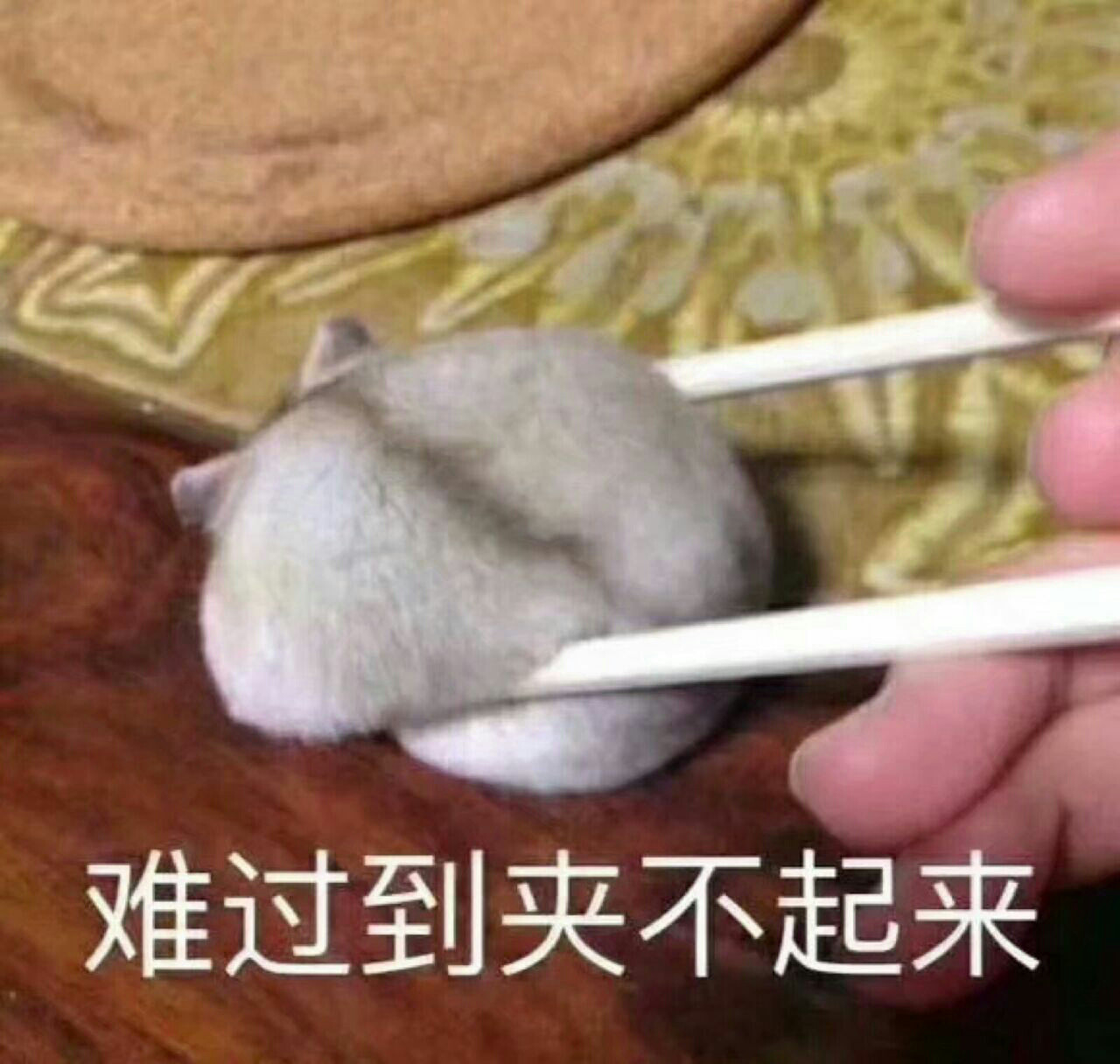 亚洲十大信誉网赌网址